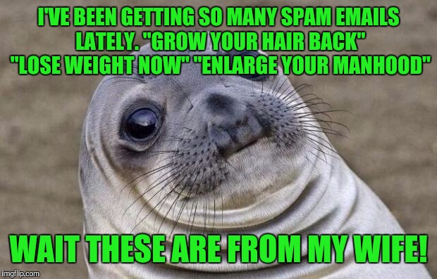 Awkward Moment Sealion Meme - Imgflip