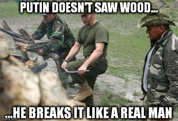 PUTIN DOESN'T SAW WOOD... ...HE BREAKS IT LIKE A REAL MAN | image tagged in vladimir putin,putin,wood | made w/ Imgflip meme maker