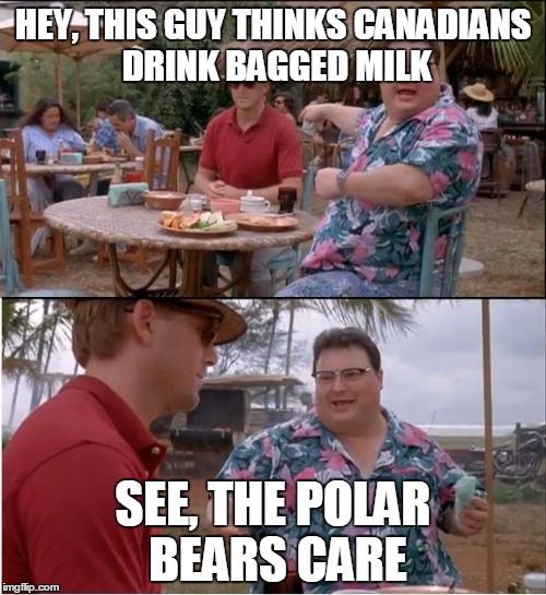 See Nobody Cares | HEY, THIS GUY THINKS CANADIANS DRINK BAGGED MILK; SEE, THE POLAR BEARS CARE | image tagged in memes,see nobody cares | made w/ Imgflip meme maker