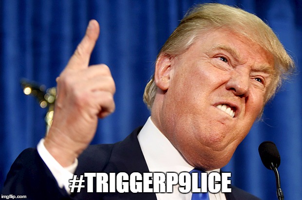 Donald Trump | #TRIGGERP9LICE | image tagged in donald trump | made w/ Imgflip meme maker