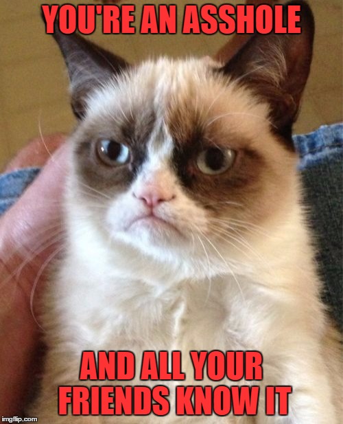 Grumpy's grammar lesson: you're vs your | YOU'RE AN ASSHOLE; AND ALL YOUR FRIENDS KNOW IT | image tagged in memes,grumpy cat,grammar | made w/ Imgflip meme maker