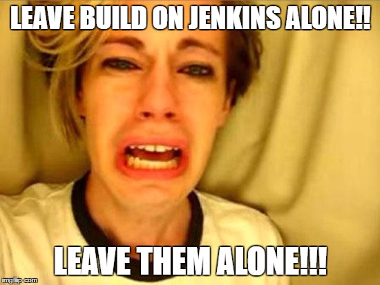 Leave Britney Alone | LEAVE BUILD ON JENKINS ALONE!! LEAVE THEM ALONE!!! | image tagged in leave britney alone | made w/ Imgflip meme maker