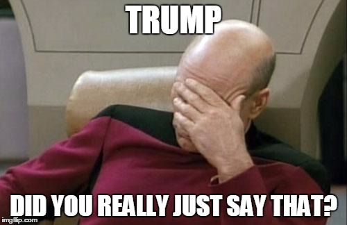 Captain Picard Facepalm | TRUMP; DID YOU REALLY JUST SAY THAT? | image tagged in memes,captain picard facepalm | made w/ Imgflip meme maker