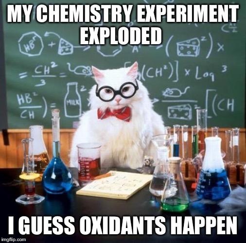Chemistry Cat | MY CHEMISTRY EXPERIMENT EXPLODED; I GUESS OXIDANTS HAPPEN | image tagged in memes,chemistry cat | made w/ Imgflip meme maker