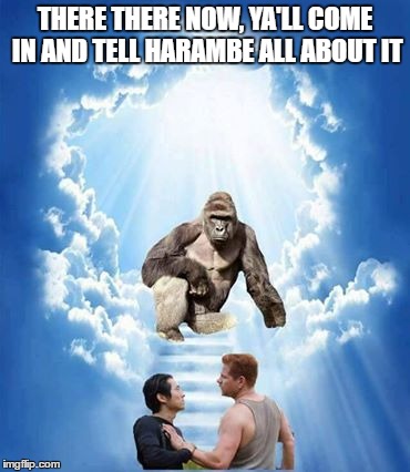 Harambe Glenn Able | THERE THERE NOW, YA'LL COME IN AND TELL HARAMBE ALL ABOUT IT | image tagged in the walking dead | made w/ Imgflip meme maker