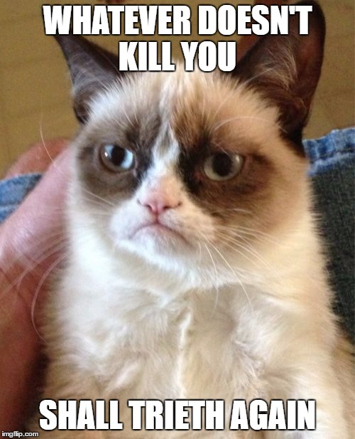 Grumpy Cat Meme | WHATEVER DOESN'T KILL YOU; SHALL TRIETH AGAIN | image tagged in memes,grumpy cat | made w/ Imgflip meme maker