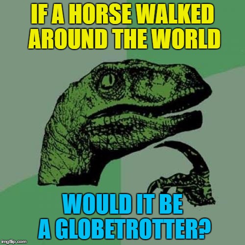 Unless it fell off the edge :) | IF A HORSE WALKED AROUND THE WORLD; WOULD IT BE A GLOBETROTTER? | image tagged in memes,philosoraptor,horses,animals,globetrotting | made w/ Imgflip meme maker