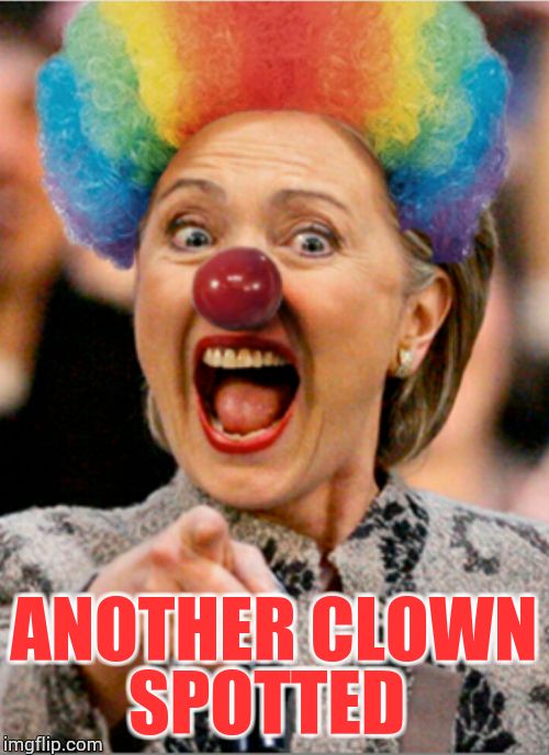 Hillary Clinton | ANOTHER CLOWN SPOTTED | image tagged in hillary clinton  donald trump | made w/ Imgflip meme maker