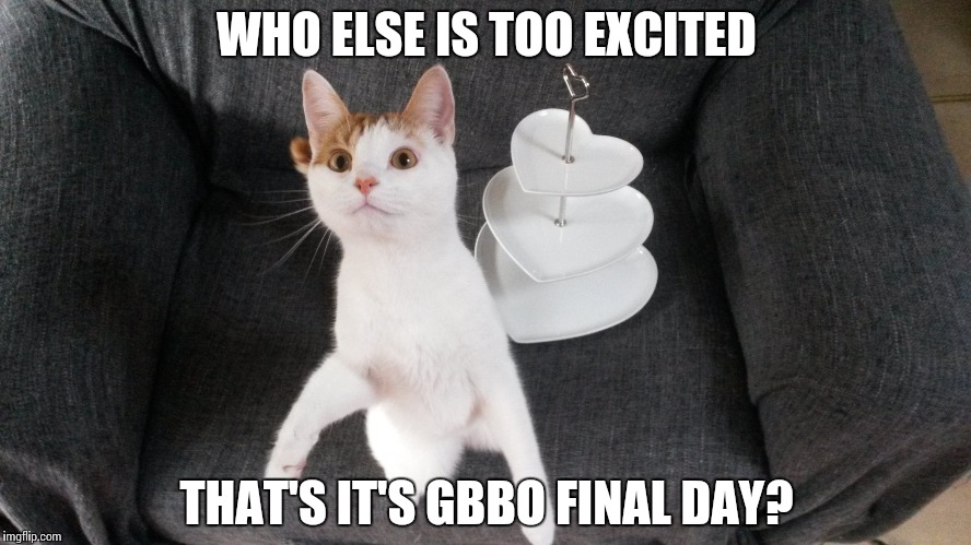 Great British Bake Off final day! | WHO ELSE IS TOO EXCITED; THAT'S IT'S GBBO FINAL DAY? | image tagged in gbbofinal,gbbo,great british bake off,cat memes,funny cat memes,cats | made w/ Imgflip meme maker
