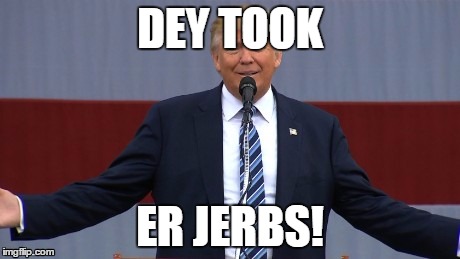 DEY TOOK; ER JERBS! | image tagged in trump,jerbs | made w/ Imgflip meme maker