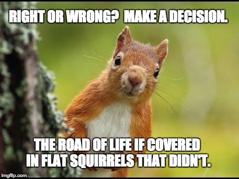 Squirrels, nature's comedian. | RIGHT OR WRONG?  MAKE A DECISION. THE ROAD OF LIFE IF COVERED IN FLAT SQUIRRELS THAT DIDN'T. | image tagged in squirrel,lol | made w/ Imgflip meme maker