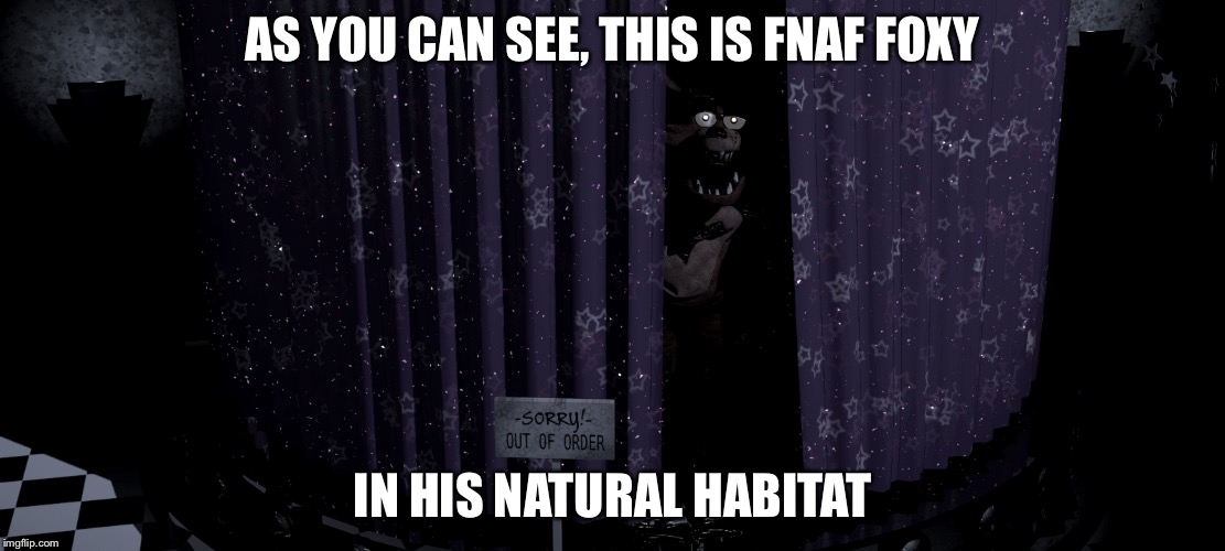 AS YOU CAN SEE, THIS IS FNAF FOXY; IN HIS NATURAL HABITAT | image tagged in fnaf,fnaffoxy | made w/ Imgflip meme maker