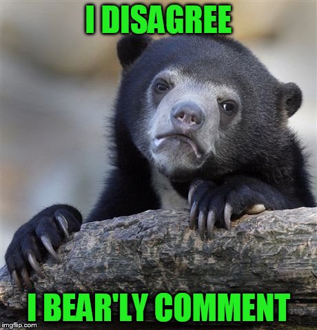 Confession Bear Meme | I DISAGREE I BEAR'LY COMMENT | image tagged in memes,confession bear | made w/ Imgflip meme maker