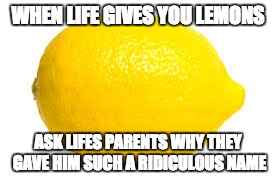 Seriously, both of you are Americans |  WHEN LIFE GIVES YOU LEMONS; ASK LIFES PARENTS WHY THEY GAVE HIM SUCH A RIDICULOUS NAME | image tagged in when life gives you lemons x | made w/ Imgflip meme maker