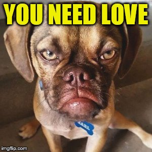 YOU NEED LOVE | made w/ Imgflip meme maker