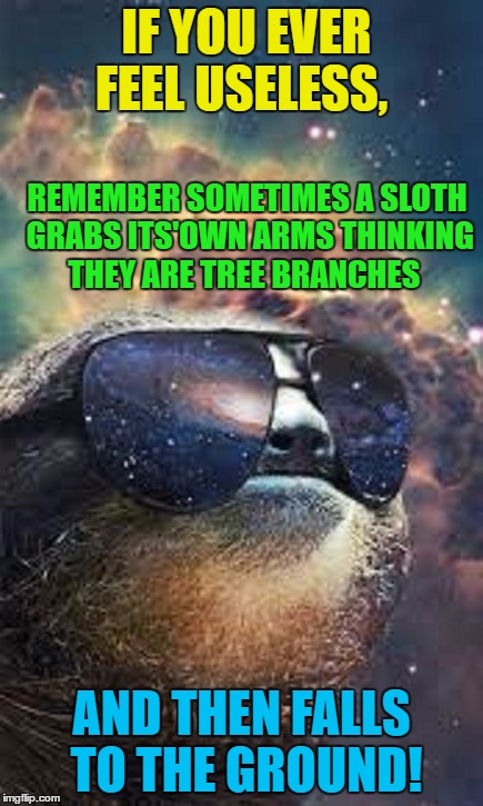 Space Sloth | IF YOU EVER FEEL USELESS, REMEMBER SOMETIMES A SLOTH GRABS ITS'OWN ARMS THINKING THEY ARE TREE BRANCHES; AND THEN FALLS TO THE GROUND! | image tagged in memes,sloth,funny | made w/ Imgflip meme maker