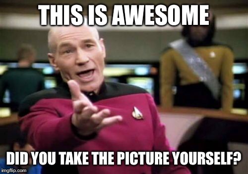 Picard Wtf Meme | THIS IS AWESOME DID YOU TAKE THE PICTURE YOURSELF? | image tagged in memes,picard wtf | made w/ Imgflip meme maker