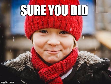 smirk | SURE YOU DID | image tagged in smirk | made w/ Imgflip meme maker