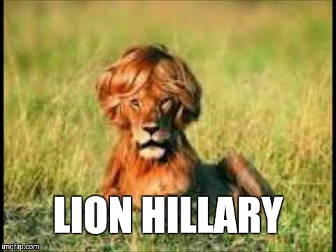 LION HILLARY | image tagged in hillary clinton | made w/ Imgflip meme maker