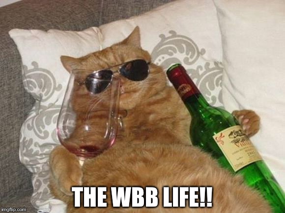 Funny Cat Birthday | THE WBB LIFE!! | image tagged in funny cat birthday | made w/ Imgflip meme maker