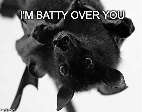 Girl, you know it's true | I'M BATTY OVER YOU | image tagged in janey mack meme,batty over you,halloween,flirt,funny,bat | made w/ Imgflip meme maker