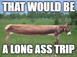 THAT WOULD BE A LONG ASS TRIP | made w/ Imgflip meme maker