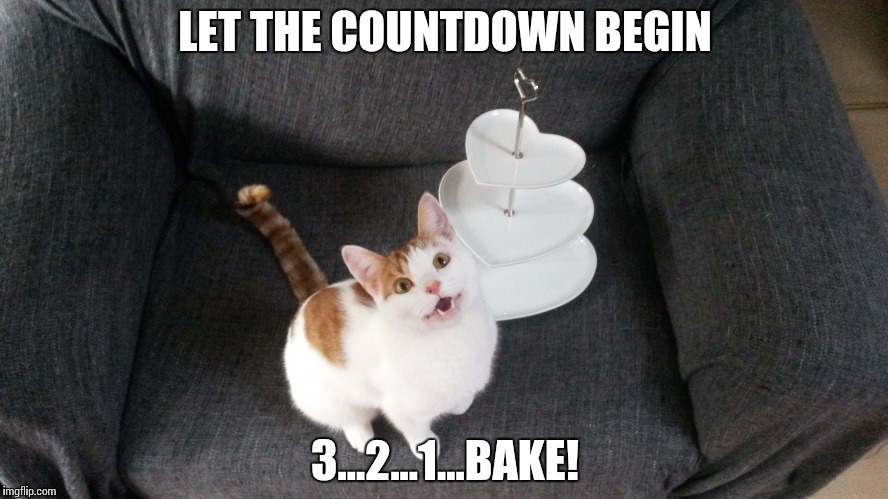 Bake!  | LET THE COUNTDOWN BEGIN; 3...2...1...BAKE! | image tagged in gbbo,gbbofinal,funny cat memes,cats,great british bake off,cake | made w/ Imgflip meme maker