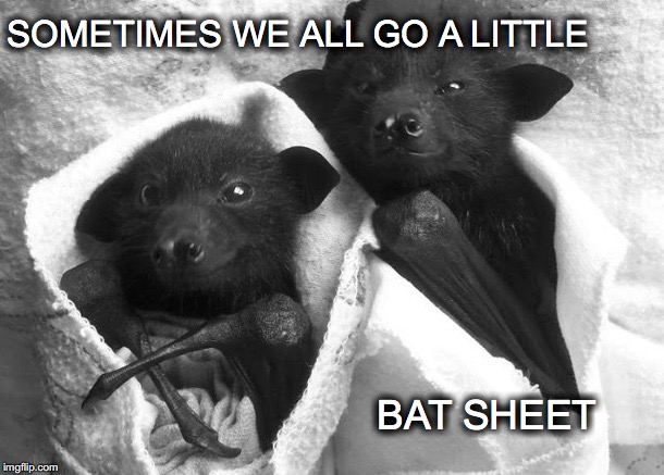 True dat, right Norman? | SOMETIMES WE ALL GO A LITTLE; BAT SHEET | image tagged in janey mack meme,funny,sometimes we all go a little bat sheet,flirt,bats,halloween | made w/ Imgflip meme maker