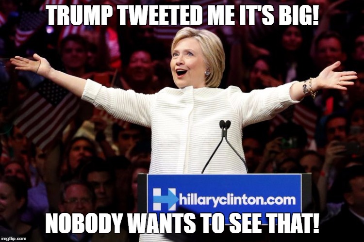 Trump Is Big! | TRUMP TWEETED ME IT'S BIG! NOBODY WANTS TO SEE THAT! | image tagged in donald trump | made w/ Imgflip meme maker