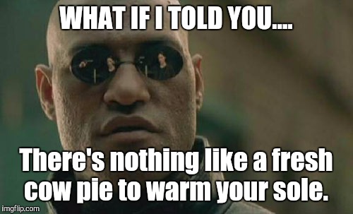 Matrix Morpheus Meme | WHAT IF I TOLD YOU.... There's nothing like a fresh cow pie to warm your sole. | image tagged in memes,matrix morpheus | made w/ Imgflip meme maker