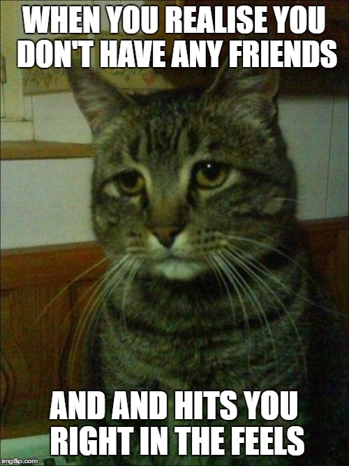 Depressed Cat | WHEN YOU REALISE YOU DON'T HAVE ANY FRIENDS; AND AND HITS YOU RIGHT IN THE FEELS | image tagged in memes,depressed cat | made w/ Imgflip meme maker