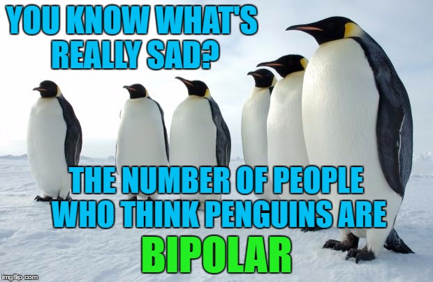 Antarctica Has Penguins | YOU KNOW WHAT'S REALLY SAD? THE NUMBER OF PEOPLE WHO THINK PENGUINS ARE; BIPOLAR | image tagged in penguins | made w/ Imgflip meme maker