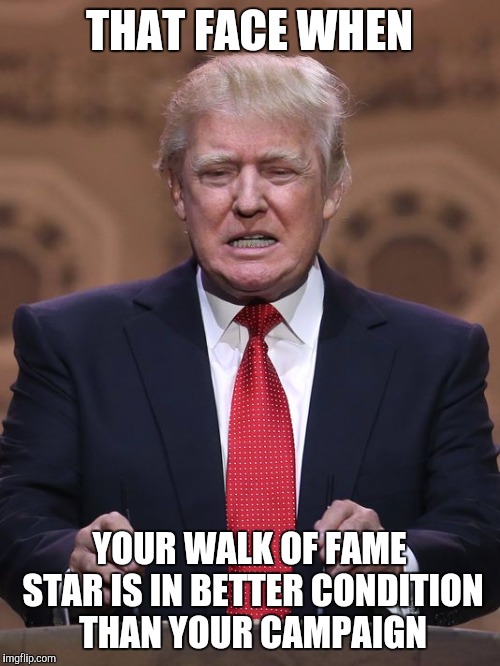 So The Donald's star on the Walk of Fame was vandalized... | THAT FACE WHEN; YOUR WALK OF FAME STAR IS IN BETTER CONDITION THAN YOUR CAMPAIGN | image tagged in donald trump,election 2016 | made w/ Imgflip meme maker