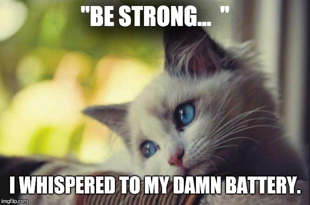 Be strong...  | "BE STRONG...  "; I WHISPERED TO MY DAMN BATTERY. | image tagged in sad cat,be strong,strong,cat meme,funny meme,funny | made w/ Imgflip meme maker