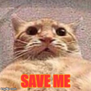 SAVE ME | made w/ Imgflip meme maker