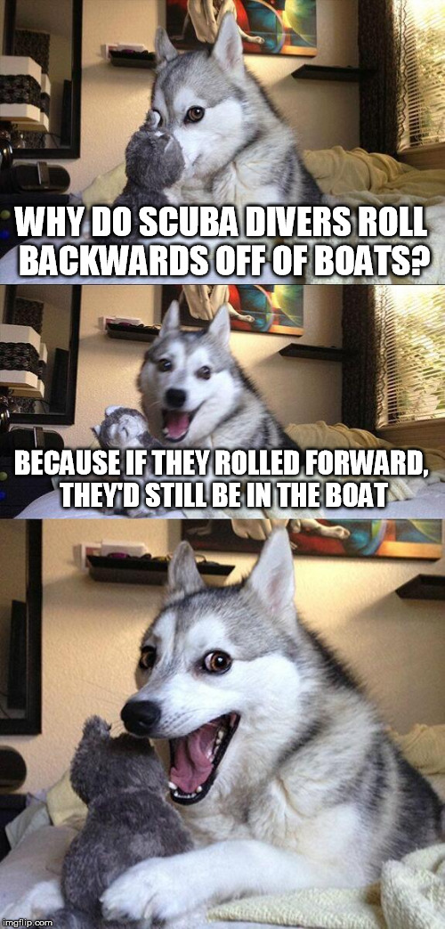 Scuba Diving Humor | WHY DO SCUBA DIVERS ROLL BACKWARDS OFF OF BOATS? BECAUSE IF THEY ROLLED FORWARD, THEY'D STILL BE IN THE BOAT | image tagged in memes,bad pun dog,scuba diving,funny animals,funny dogs,too funny | made w/ Imgflip meme maker