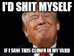 I'D SHIT MYSELF IF I SAW THIS CLOWN IN MY YARD | made w/ Imgflip meme maker