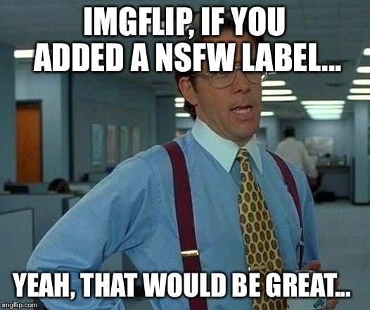 That Would Be Great Meme | IMGFLIP, IF YOU ADDED A NSFW LABEL... YEAH, THAT WOULD BE GREAT... | image tagged in memes,that would be great | made w/ Imgflip meme maker