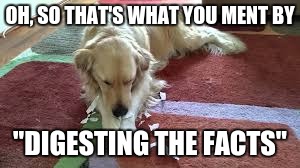 My Dog Ate My Homework!!! | OH, SO THAT'S WHAT YOU MENT BY; "DIGESTING THE FACTS" | image tagged in dog,homework | made w/ Imgflip meme maker
