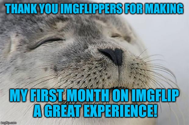 Happy to have stumbled upon this site | THANK YOU IMGFLIPPERS FOR MAKING; MY FIRST MONTH ON IMGFLIP A GREAT EXPERIENCE! | image tagged in memes,satisfied seal | made w/ Imgflip meme maker