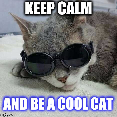 Keep calm and be a cool cat  | KEEP CALM; AND BE A COOL CAT | image tagged in cool cat,keep calm,sunglasses,shades,funny,memes | made w/ Imgflip meme maker