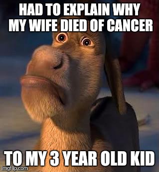 sad donkey | HAD TO EXPLAIN WHY MY WIFE DIED OF CANCER; TO MY 3 YEAR OLD KID | image tagged in sad donkey | made w/ Imgflip meme maker