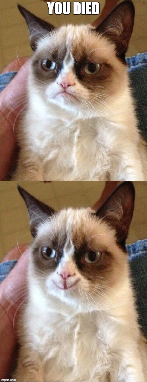 Grumpy Cat 2x Smile | YOU DIED | image tagged in grumpy cat 2x smile | made w/ Imgflip meme maker