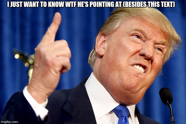 Donald Trump | I JUST WANT TO KNOW WTF HE'S POINTING AT (BESIDES THIS TEXT) | image tagged in donald trump | made w/ Imgflip meme maker