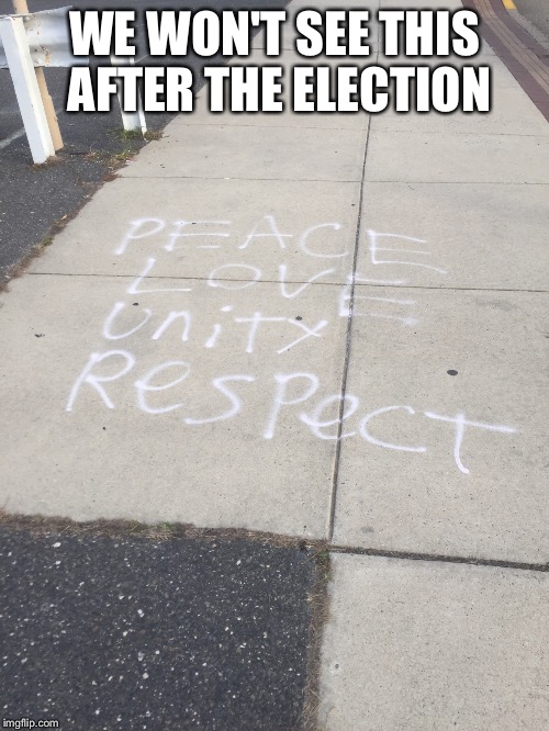 TRUE THAT | WE WON'T SEE THIS AFTER THE ELECTION | image tagged in election 2016,2016 election,peace love unity respect | made w/ Imgflip meme maker