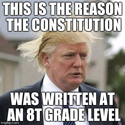 Donald Trump | THIS IS THE REASON THE CONSTITUTION; WAS WRITTEN AT AN 8T GRADE LEVEL | image tagged in donald trump | made w/ Imgflip meme maker