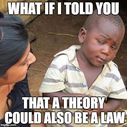 Third World Skeptical Kid Meme | WHAT IF I TOLD YOU; THAT A THEORY COULD ALSO BE A LAW | image tagged in memes,third world skeptical kid | made w/ Imgflip meme maker