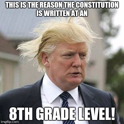 Donald Trump | THIS IS THE REASON THE CONSTITUTION IS WRITTEN AT AN; 8TH GRADE LEVEL! | image tagged in donald trump | made w/ Imgflip meme maker