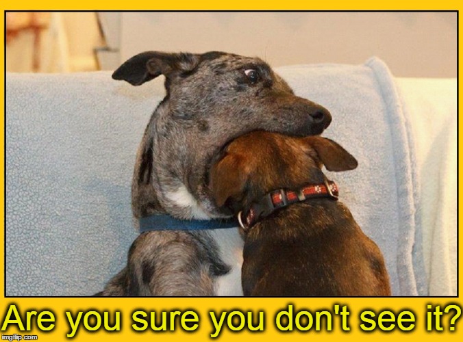 That's a Mouthful! | Are you sure you don't see it? | image tagged in vince vance,funny dog memes,dog looking in another dog's mouth | made w/ Imgflip meme maker