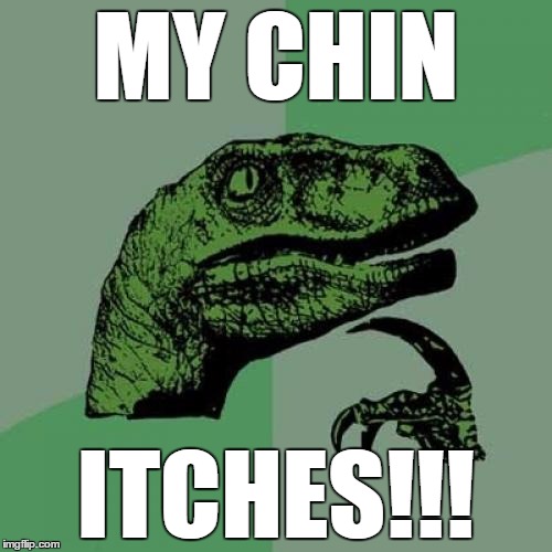 Philosoraptor | MY CHIN; ITCHES!!! | image tagged in memes,philosoraptor | made w/ Imgflip meme maker